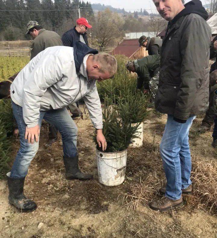 În Anul Centenarului, în Bistrița-Năsăud s-au pus bazele unei păduri simbol (FOTO)