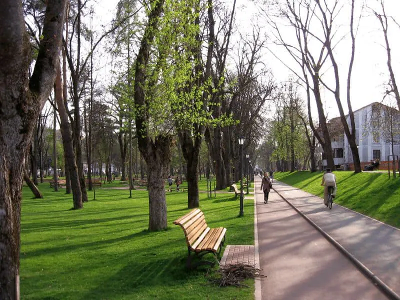 Comisie pentru inventarierea tuturor terenurilor din vecinătatea Parcului Municipal din Bistrița