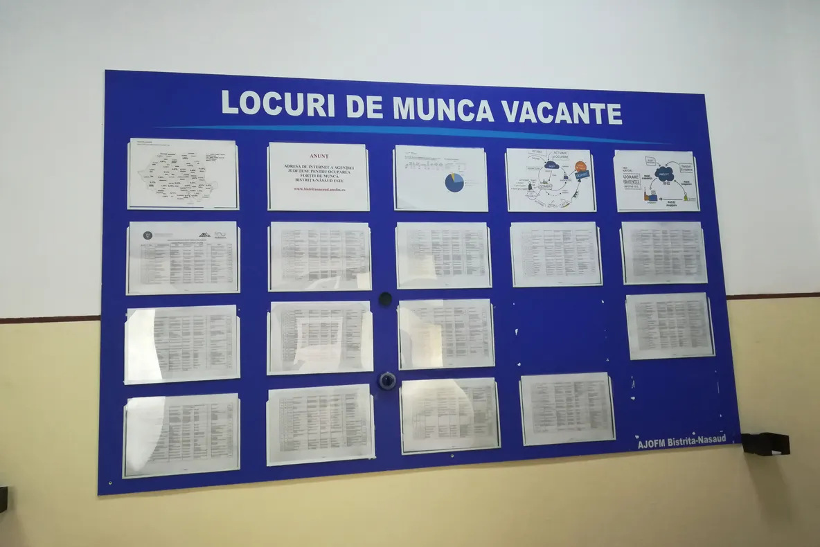 90 la sută dintre locurile de muncă disponibile în Bistrița-Năsăud sunt destinate persoanelor cu studii medii și profesionale