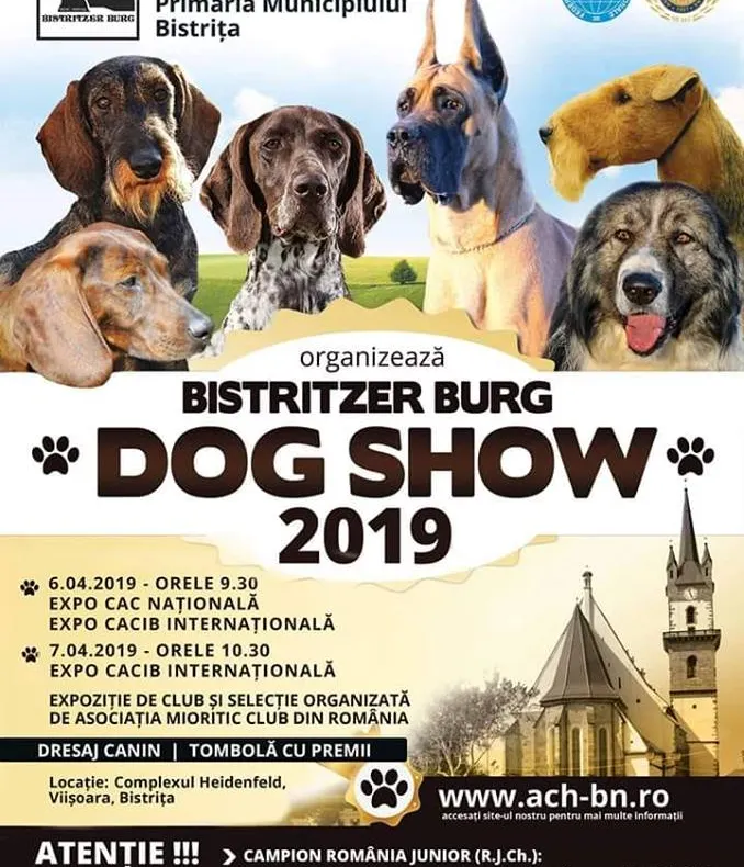 Expoziţia internaţională de frumuseţe canină "Bistritzer Burg DOG SHOW 2019", între 6 și 7 aprilie, la Bistrița