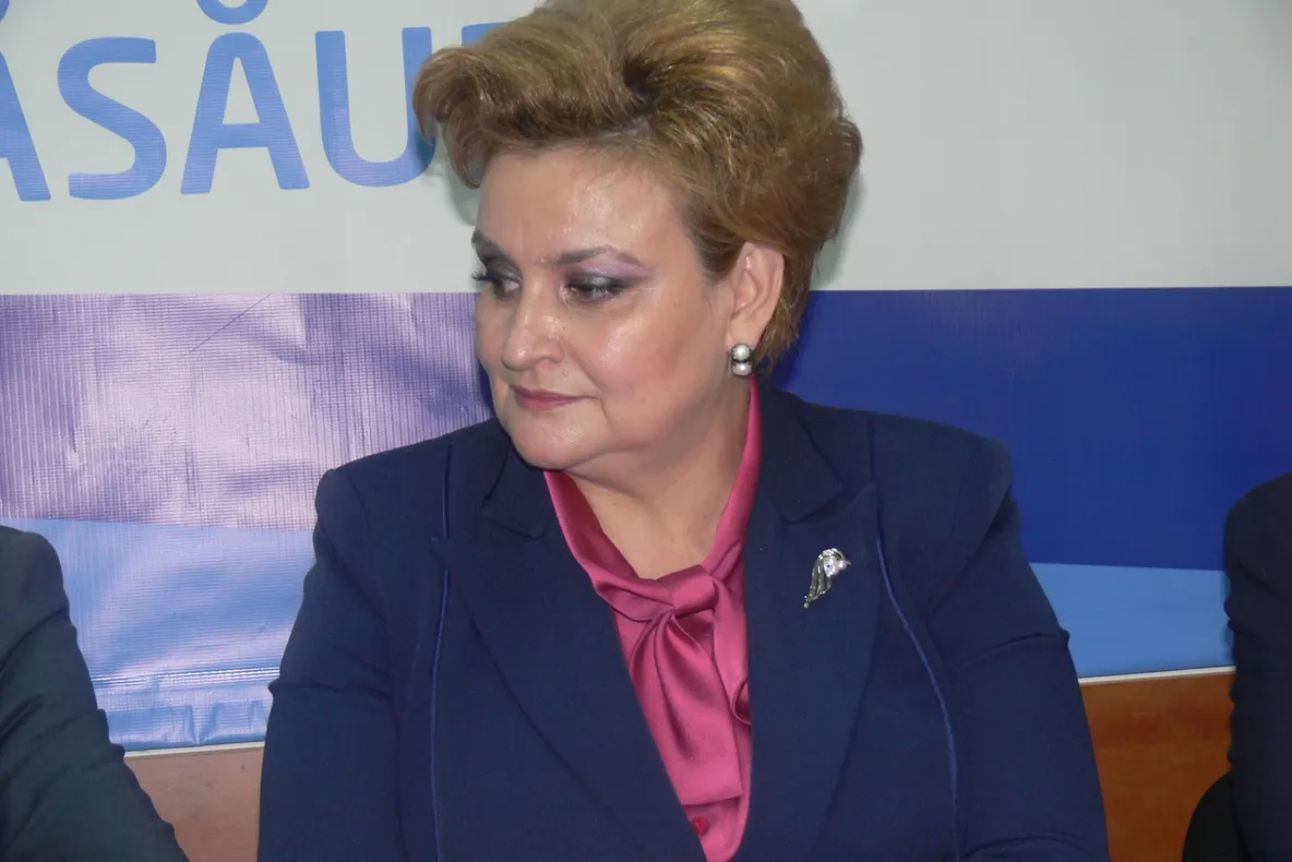 Ministrul Grațiela Gavrilescu, la Bistrița. A vizitat companiile TeraPlast și Rombat (FOTO)