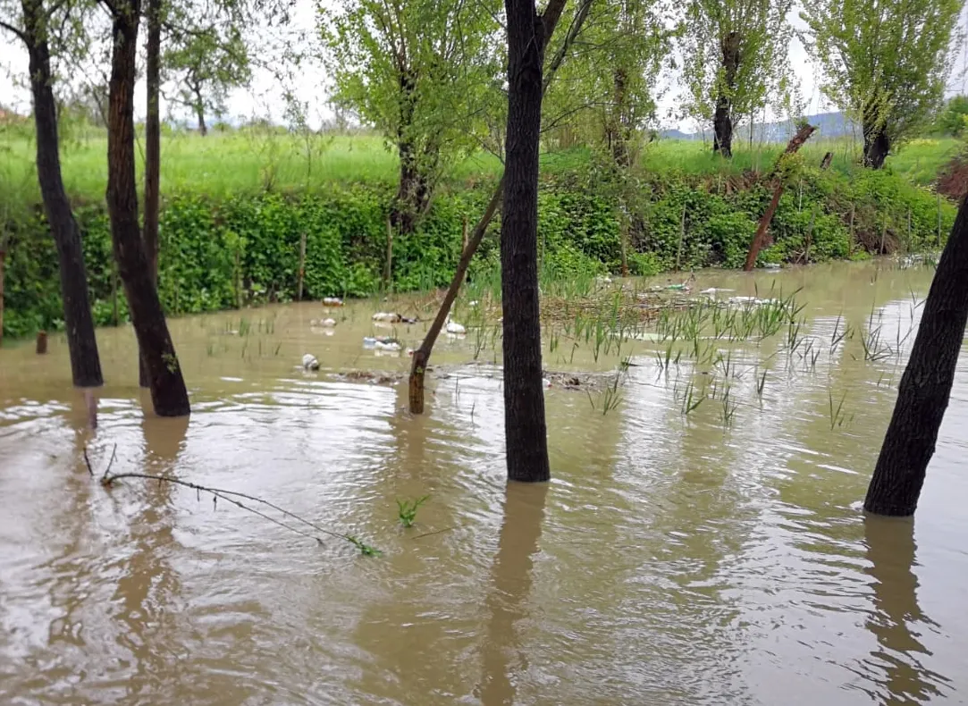 Zeci de hectare de teren, fântâni, case și un drum județean afectate de ploi în Bistrița-Năsăud