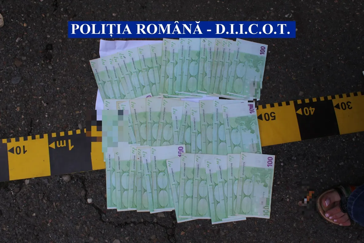 Doi bărbaţi, prinși de polițiști în timp ce tăiau ilegal arbori. Ce sancțiuni au primit?