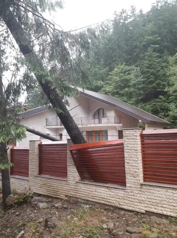 Dosar penal pentru că a furat 11 baloți de fân (FOTO)