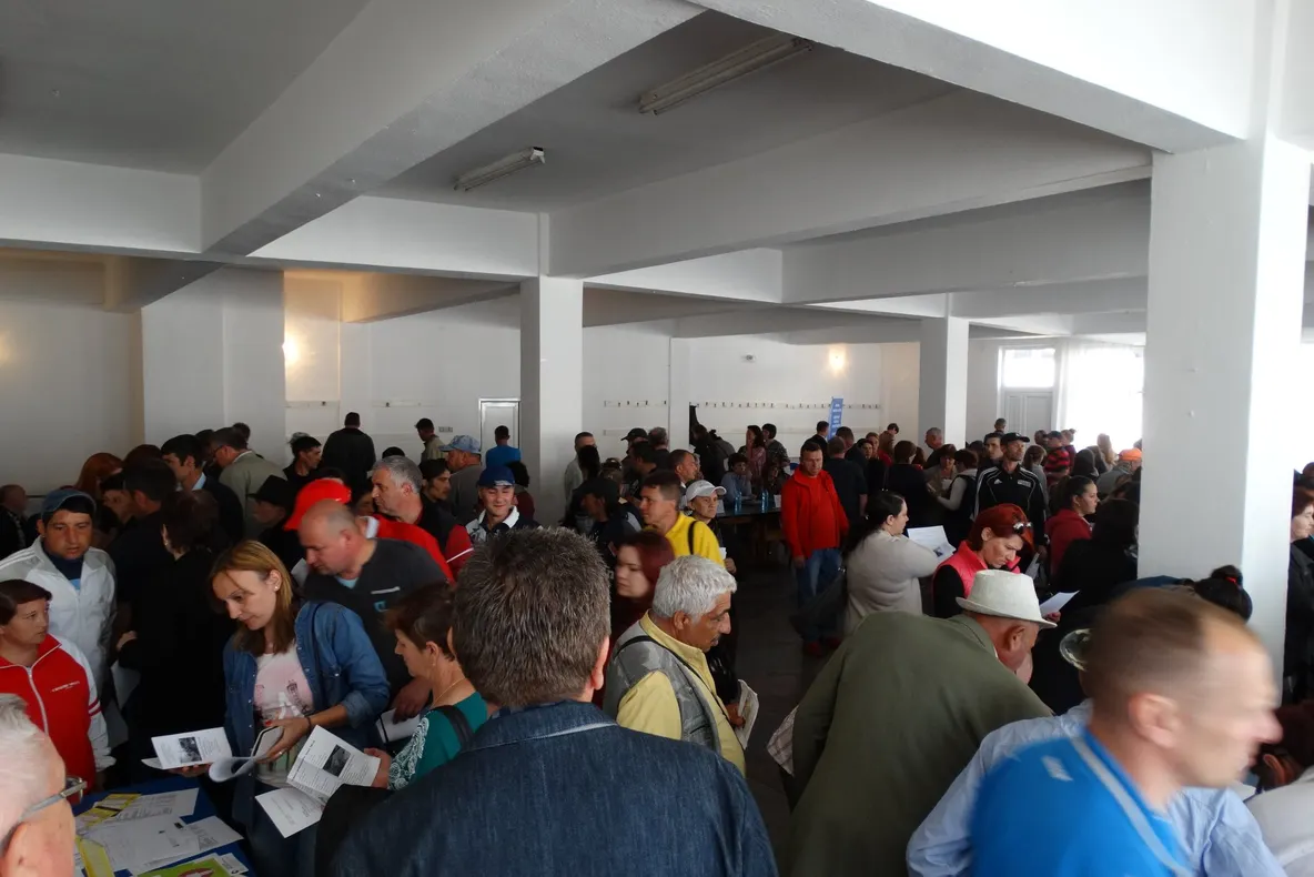 Peste 3.000 de șomeri, înregistrați în evidenţele AJOFM Bistriţa – Năsăud