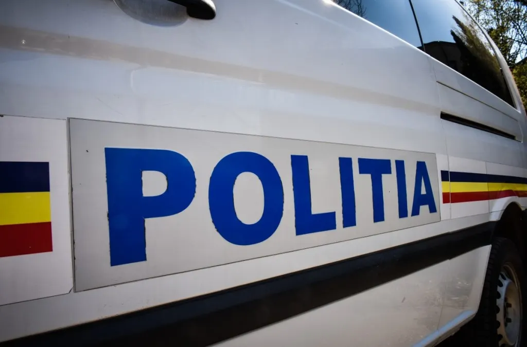 Amenzi de câteva mii de lei și cherestea confiscată de polițiștii din Beclean