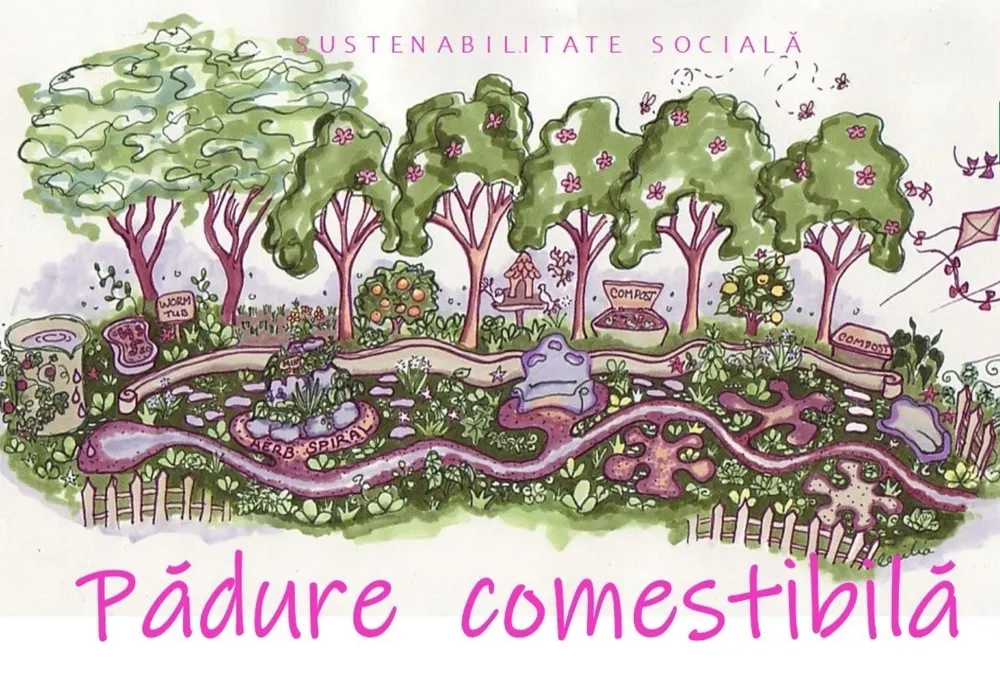 Proiect inedit în Bistrița! Pădurea comestibilă, pusă pe picioare de o asociație și un liceu agricol