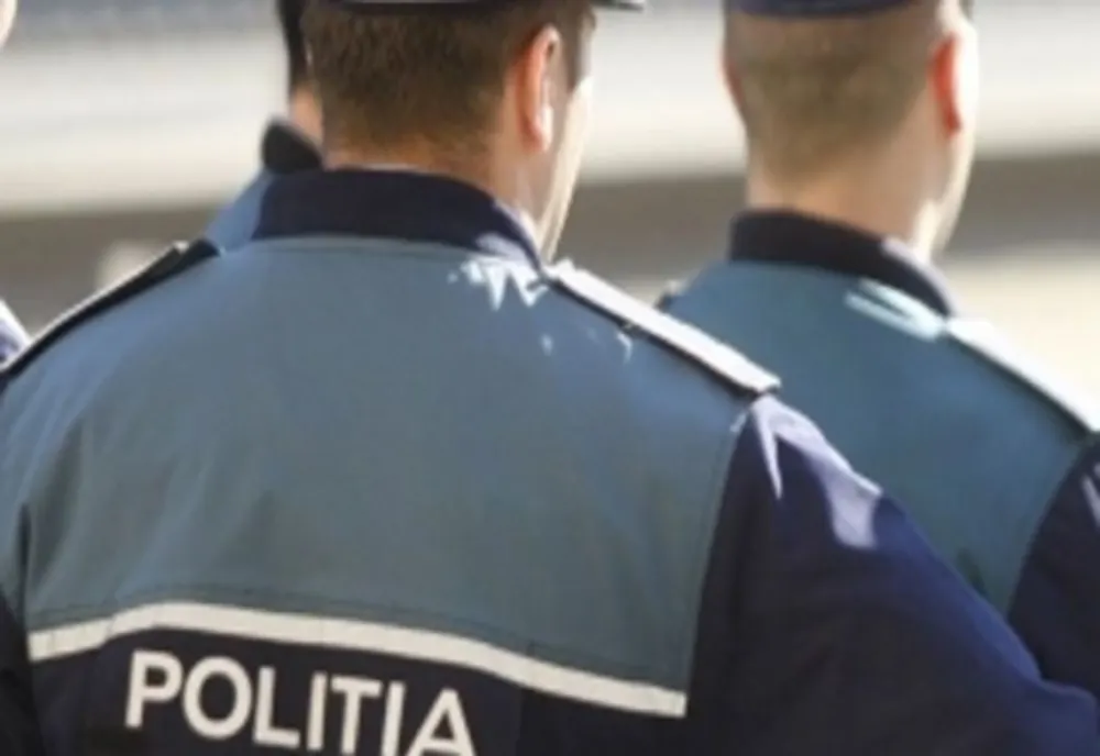 Un bărbat și un minor din Bistrița-Năsăud, cu dosar penal! Vezi ce au făcut