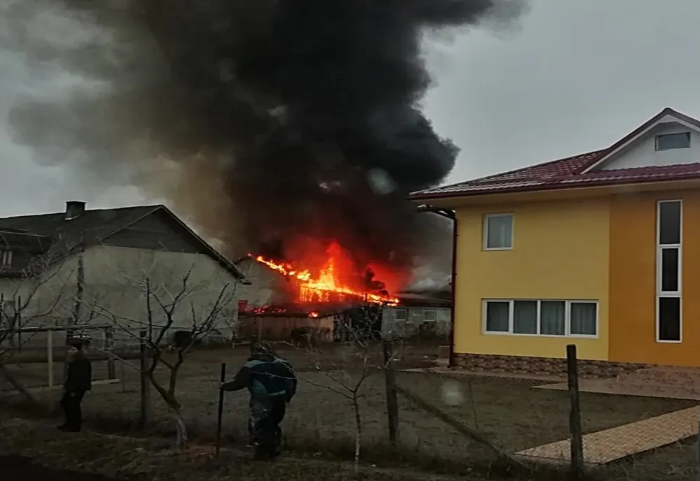 FOTO: Atelier de tâmplărie, o anexă și o hală, afectate de incendiu, la Uriu
