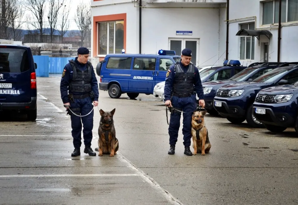 FOTO: Două dintre cele mai iubite jandarmerițe din Bistrița au ieșit la pensie! Cine le-a adoptat