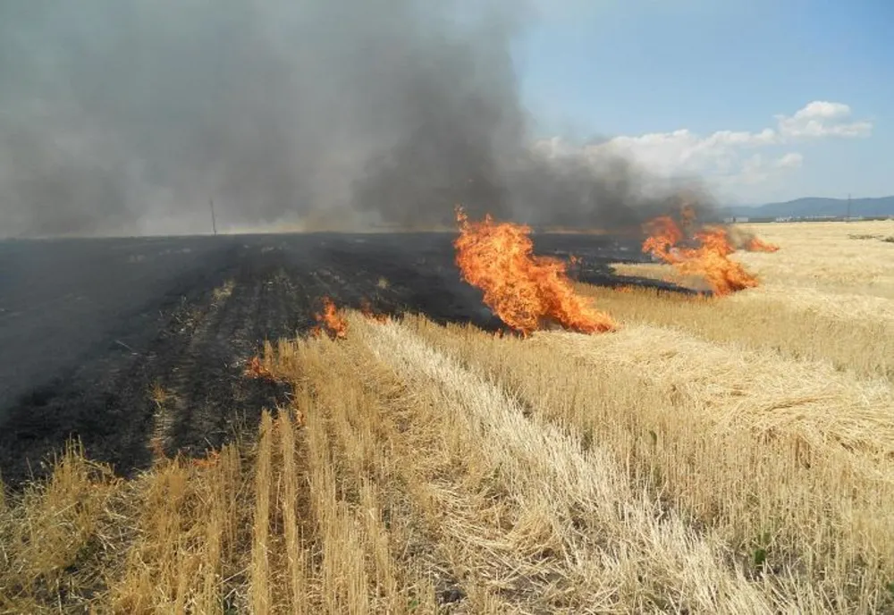 APM Bistrița-Năsăud: Incendierea miriștilor și a resturilor vegetale în scopul igienizării terenurilor,  STRICT INTERZISĂ! Sancțiunile sunt drastice pentru cei care nu respectă legea