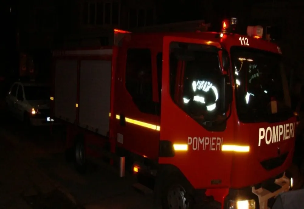 Incendiu puternic la o distilerie din Sebiș