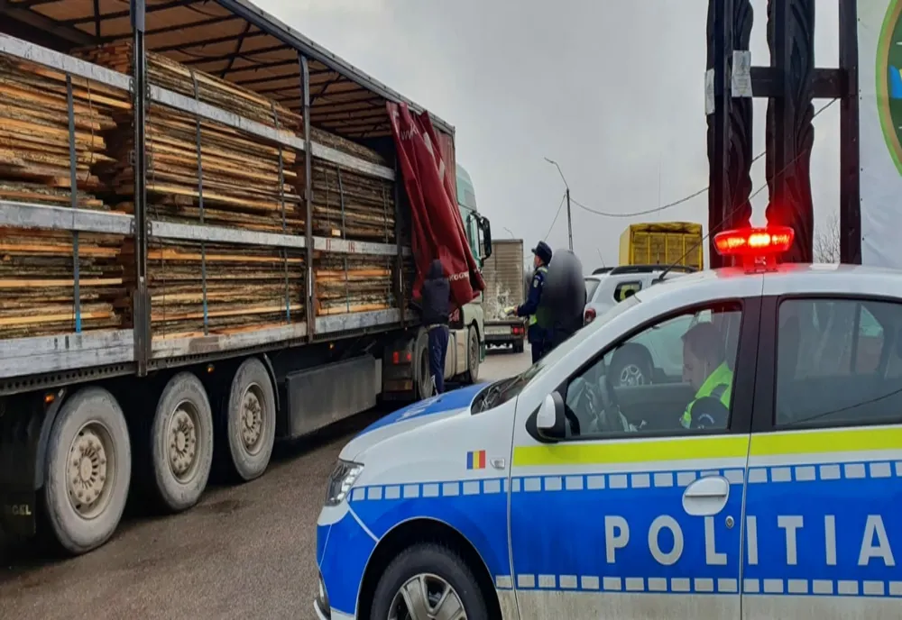 Transportul și tăierile ilegale de lemn, în vizorul polițiștilor bistrițeni