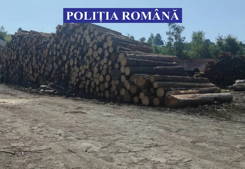 Acțiuni pe linie silvică, efectuate de polițiștii bistrițeni: peste 140 mc de lemn, confiscați! Ce sancțiuni au mai fost aplicate