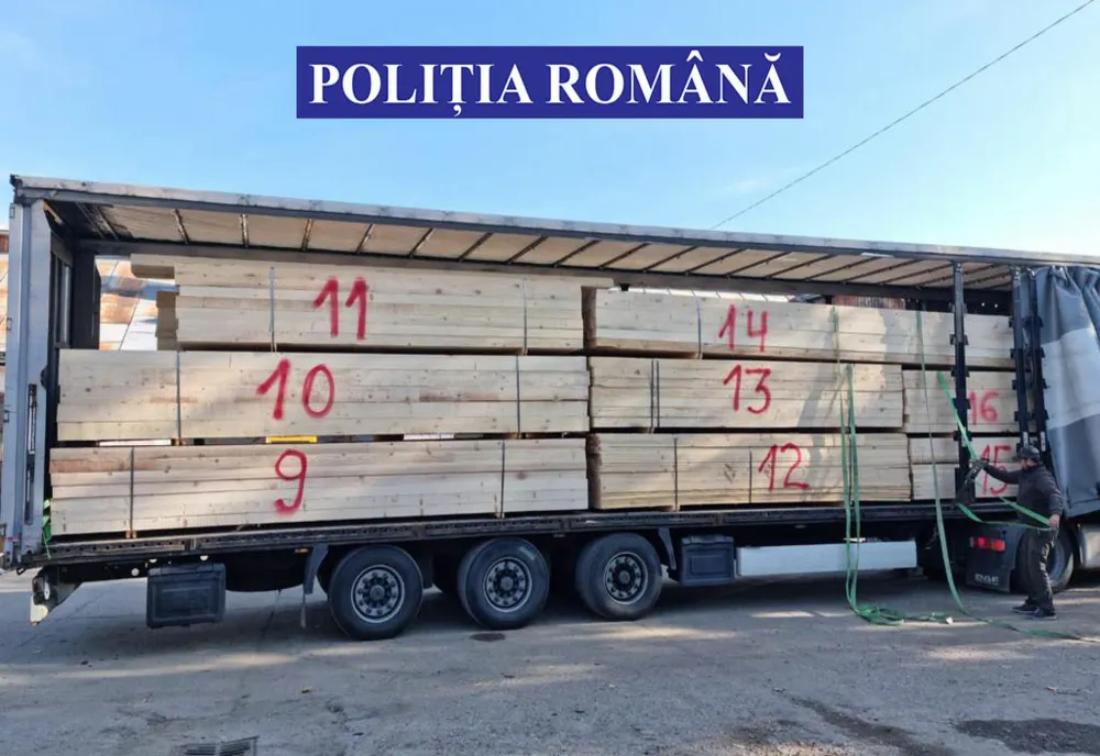 VIDEO: Bărbat din Bistrița-Năsăud, prins cu mașina burdușită de material lemnos! Ce i-au făcut polițiștii