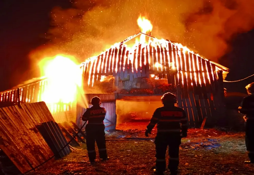 Saivan cu fân din Bistrița, afectat de un incendiu! Peste 200 de animale și păsări, salvate de pompieri