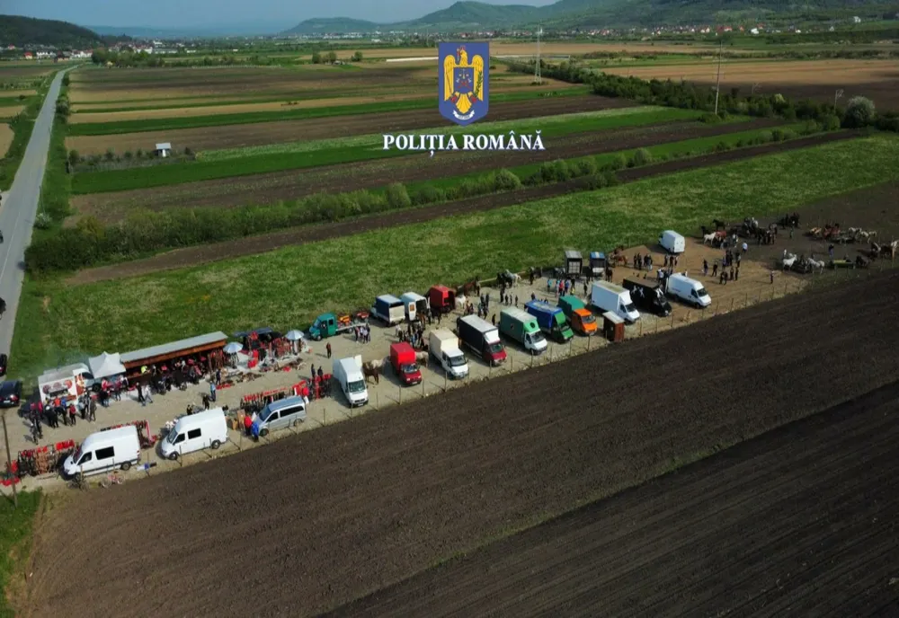 VIDEO: Târg de cai ilegal, la Sărățel! Ce sancțiuni au fost aplicate de polițiștii de la Protecția Animalelor