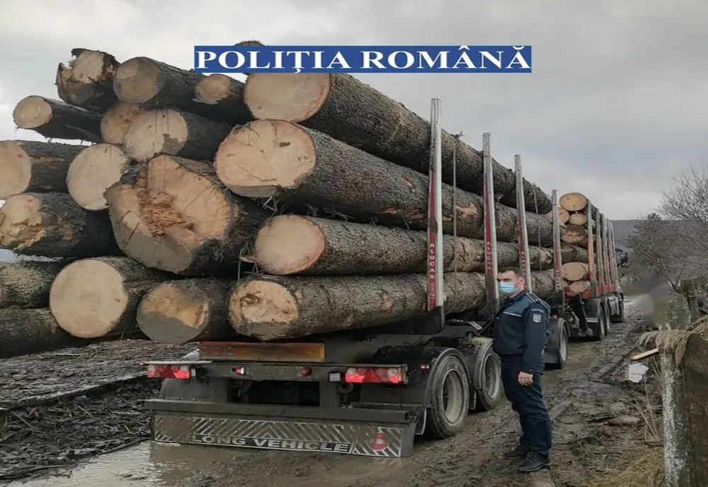 Polițiștii bistrițeni, cu ochii pe transporturile de material lemnos! Ce amenzi au fost aplicate și ce cantitate de lemn a fost confiscată