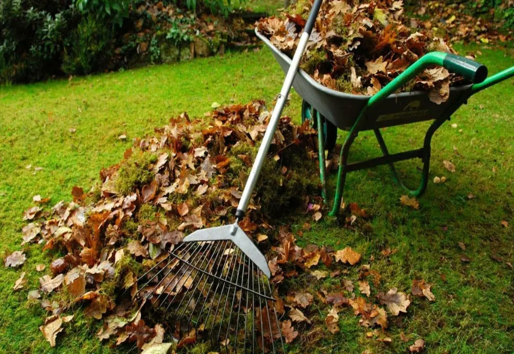 Începe campania gratuită de colectare a deșeurilor vegetale! Vezi calendarul