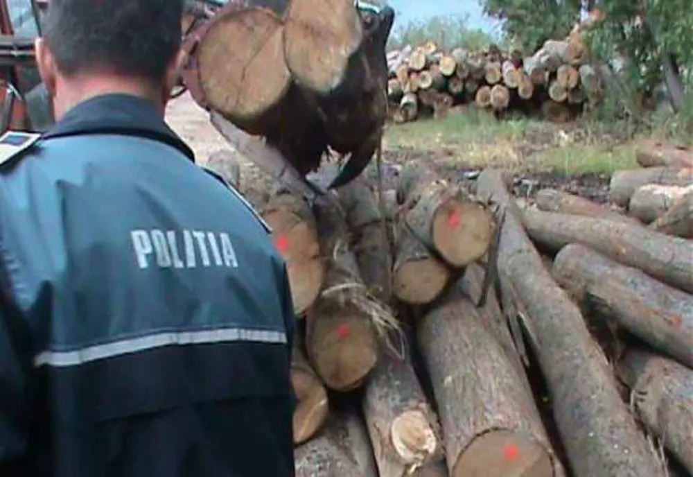 Transportatorii și exploatatorii de lemn, verificați de polițiști! Controalele s-au lăsat cu amenzi, marfă confiscată și un dosar penal