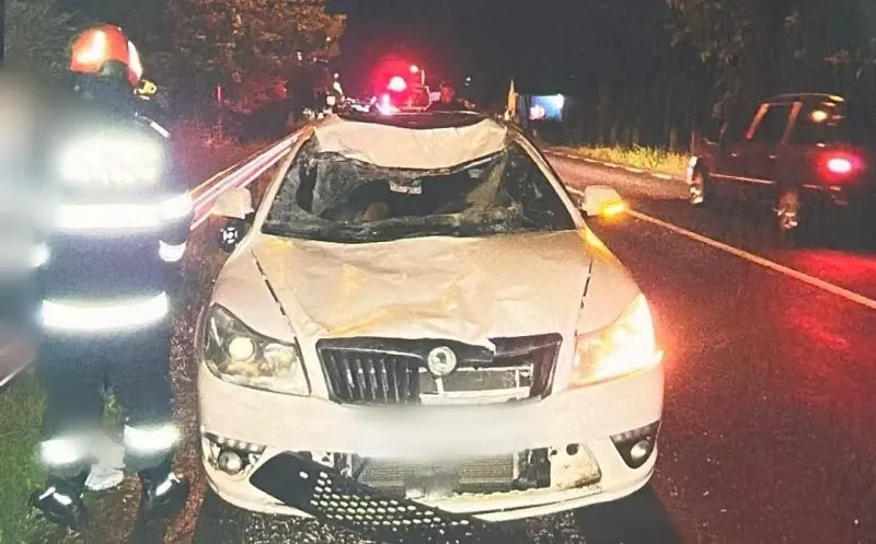Accident rutier în Cluj: un cal a murit, o femeie a ajuns la spital