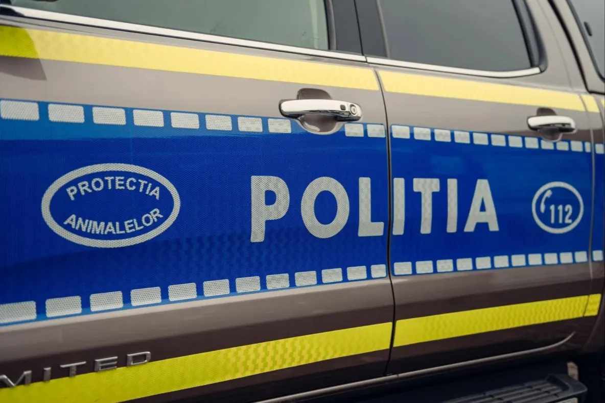 Peste 200 de abateri descoperite de Poliția Animalelor în Bistrița-Năsăud