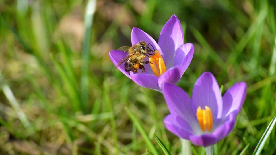 Cum va fi vremea azi în România: soare în mare parte din țară, dar apar și ploi slabe