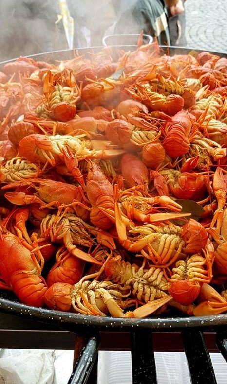 Festivalul Mediteranean revine la Bistrița