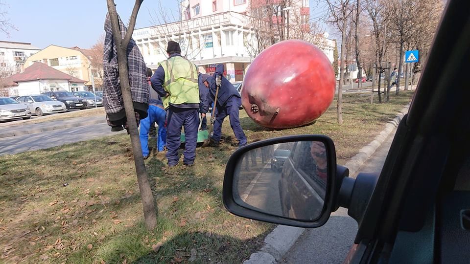 Primăria Bistrița, nevoită să mute merele gigant amplasate în apropierea unor treceri de pietoni (FOTO)