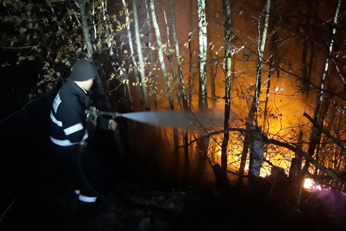 Pompierii bistrițeni intervin pentru a stinge un puternic incendiu de vegetație. Acesta se manifestă pe o suprafață de circa 8 hectare (FOTO)
