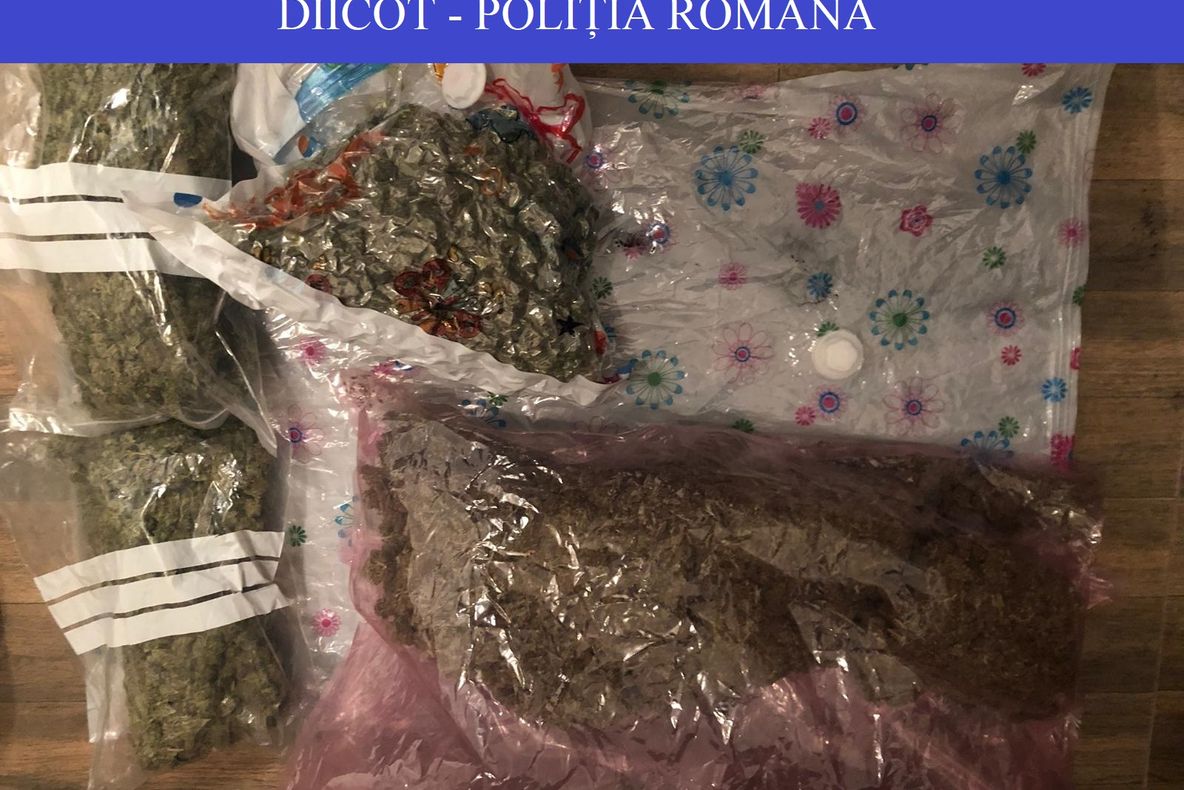 (FOTO) Tânăr din Bistrița, arestat preventiv pentru trafic de droguri! Vezi ce cantitate de substanțe interzise a fost găsită la percheziții