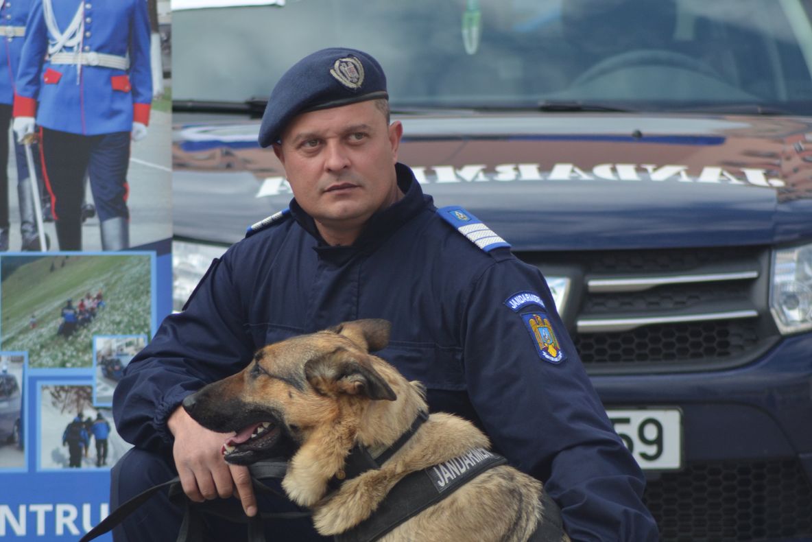 Amenzi în valoare de câteva mii de lei, date de jandarmii bistrițeni pentru nerespectarea ordinii publice