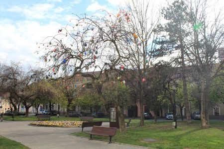 Copac împodobit cu ouă, la Bistrița, pentru a marca Sărbătorile Pascale