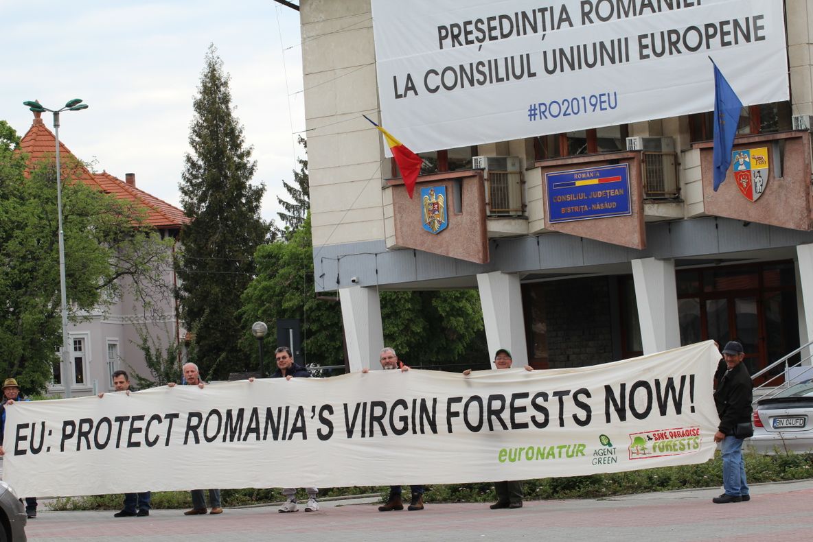 Activiștii de mediu bistrițeni, protest în fața Prefecturii: Mediul natural din Bistrița-Năsăud în MOARTE CLINICĂ. Cine își asumă? Și mai ales, cum?