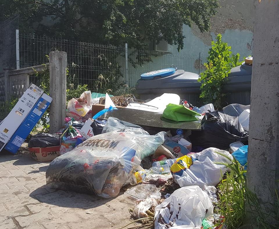 TEL VERDE pentru sesizarea problemelor legate de serviciile de salubrizare din municipiul Bistrița