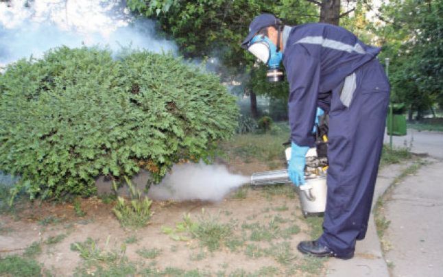 Primăria Bistrița derulează acțiuni de dezinsecție a spațiilor verzi din mai multe zone ale orașului