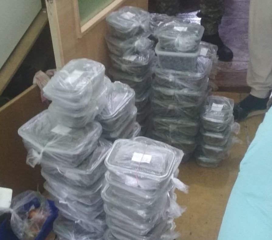 Un cetățean german și o femeie din Bistrița-Năsăud, reținuți în urma unor percheziții efectuate în Bistrița-Năsăud. S-au identificat și confiscat cantități impresionante de canabis (FOTO)