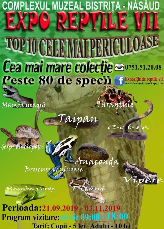 Expoziție de reptile vii, la Complexul Muzeal Bistrița-Năsăud