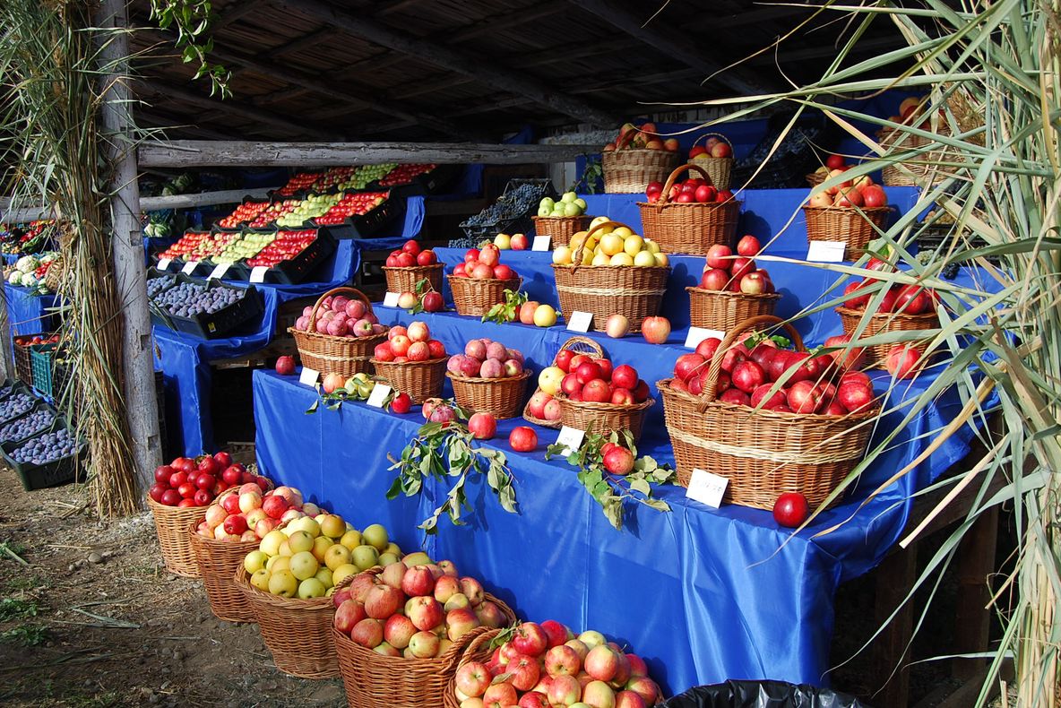 Festivalul ”Toamna Bistrițeană”, între 28 și 29 septembrie, în Complexul Heidenfeld din Viișoara