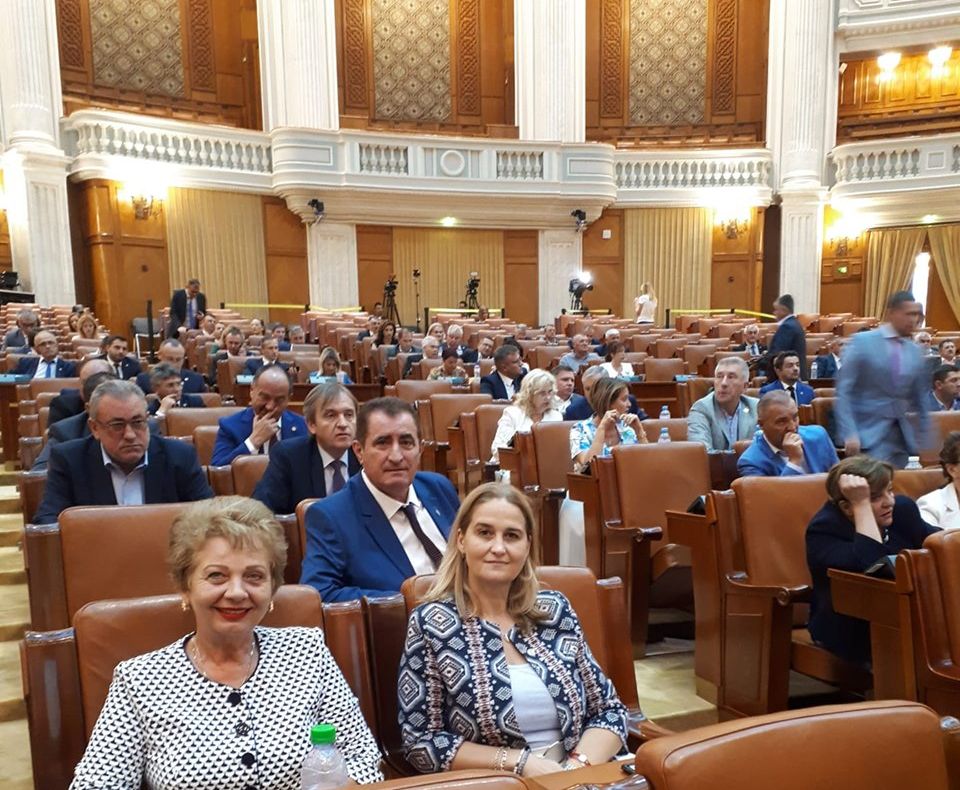 Deputatul Doina Pană: ”PNDL continuă și a fost extins și pentru rețele de alimentare cu gaz!”