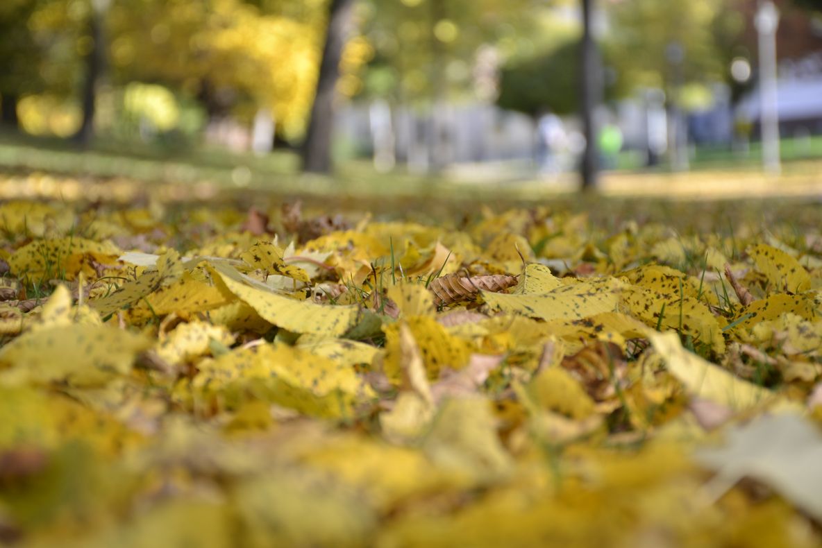 Cum va fi vremea în următoarele două săptămâni? Prognoza meteorologilor