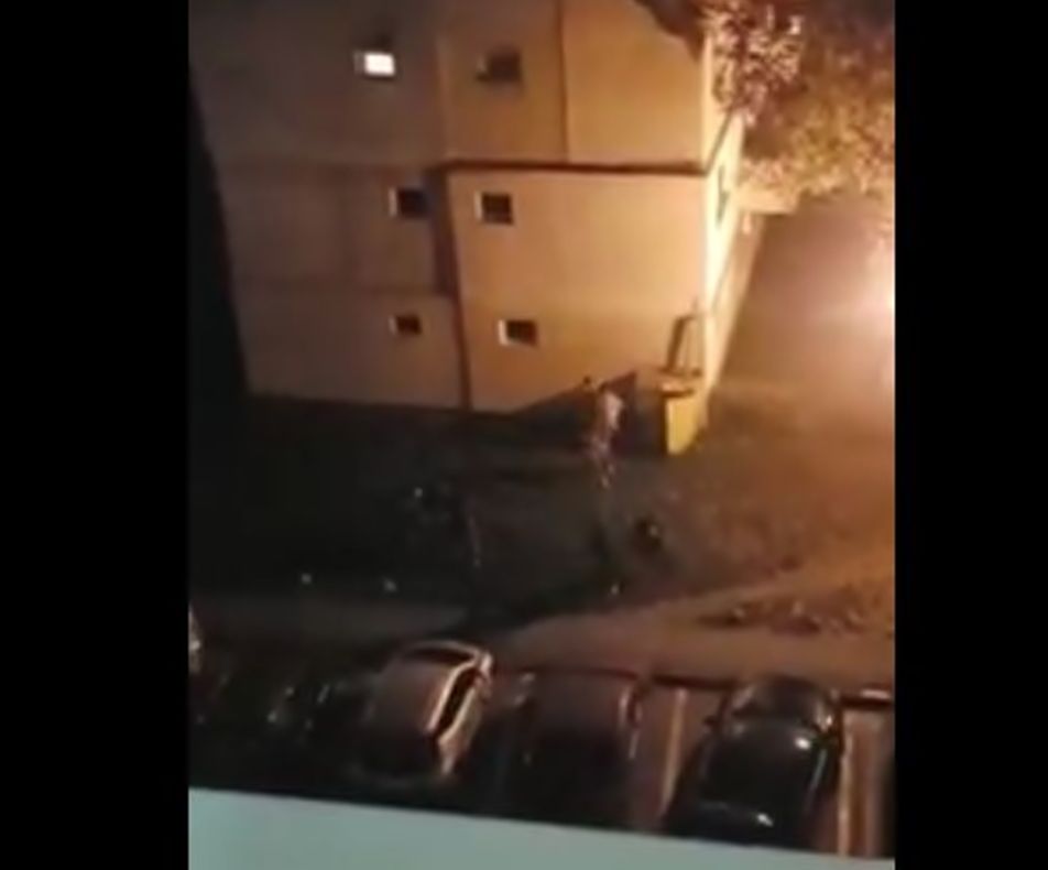 Cei șase bătăuși din Bistrița, reținuți pentru 24 de ore