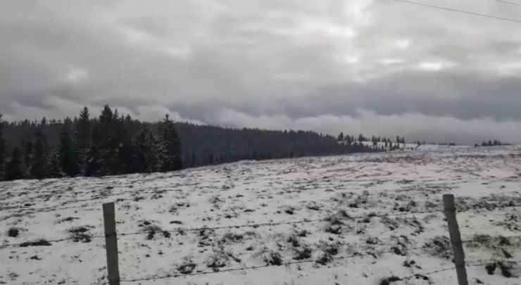 Pasul Tihuța din Bistrița-Năsăud, îmbrăcat într-un covor alb (VIDEO)