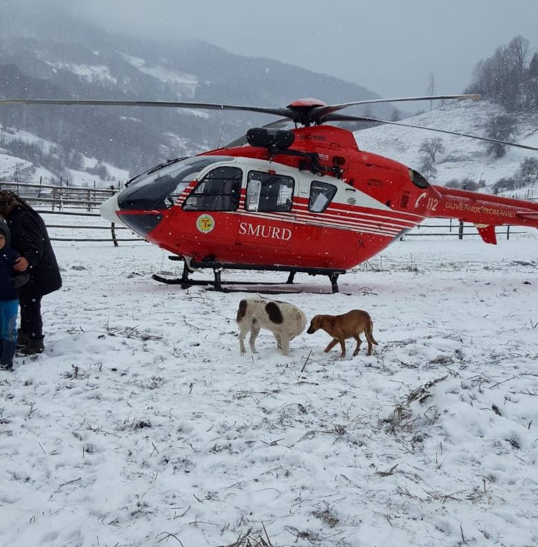 FOTO: Bărbat din comuna Romuli, lovit grav de un cal, într-o zonă greu accesibilă! A fost nevoie de intervenția elicopterului SMURD. Vezi starea victimei