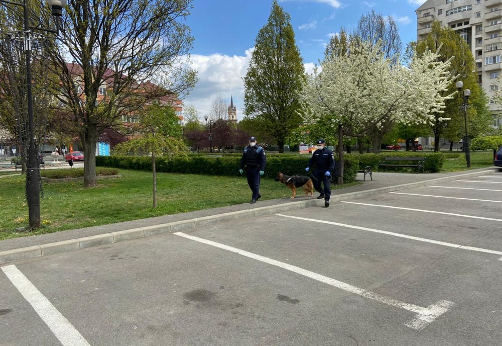 Bistrița-Năsăud: Amenzi de peste 100.000 lei, aplicate de forțele de ordine