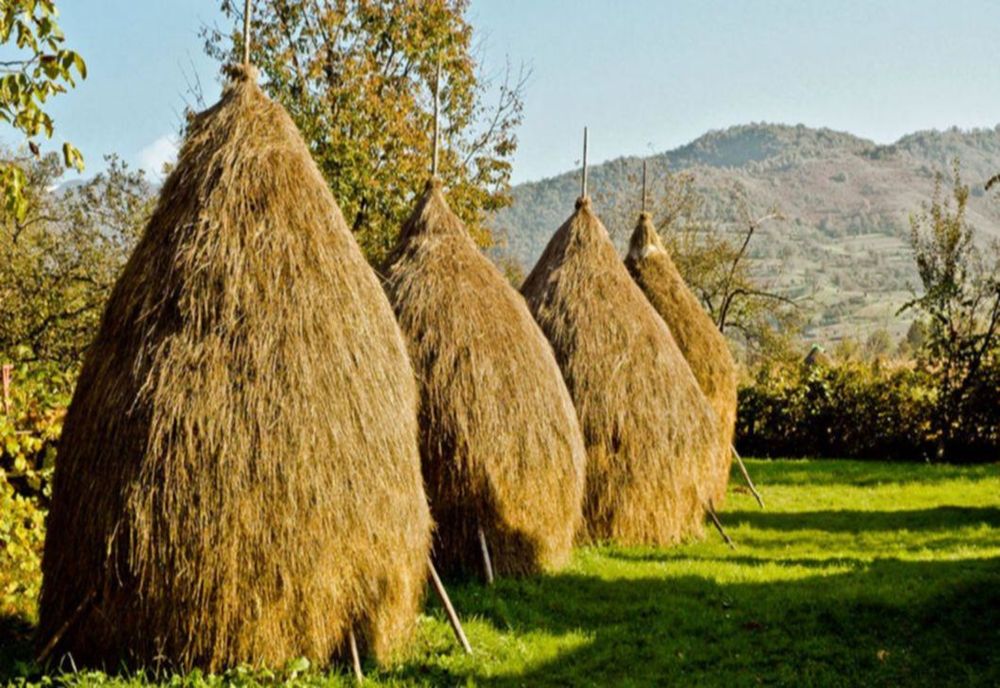 Năsăudean electrocutat, la spital