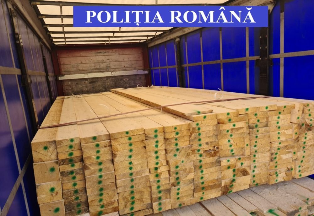 Amendă de 15.000 lei pentru transport de cherestea fără documente legale! Marfa a fost confiscată