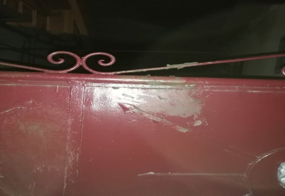 FOTO: Urși, în "vizită" prin Bistrița! Într-o gospodărie a produs pagube