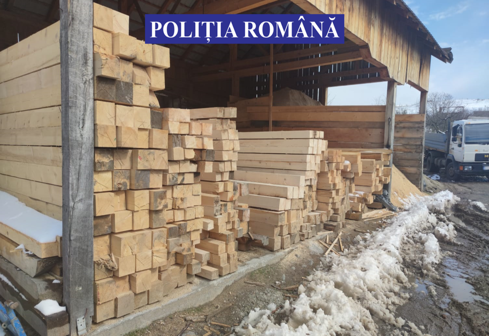 Firmă de pe Valea Budacului, amendată pentru deținere ilegală de material lemnos! Și un șofer din Bistrița Bârgăului a primit același "cadou". Polițiștii le-a confiscat marfa