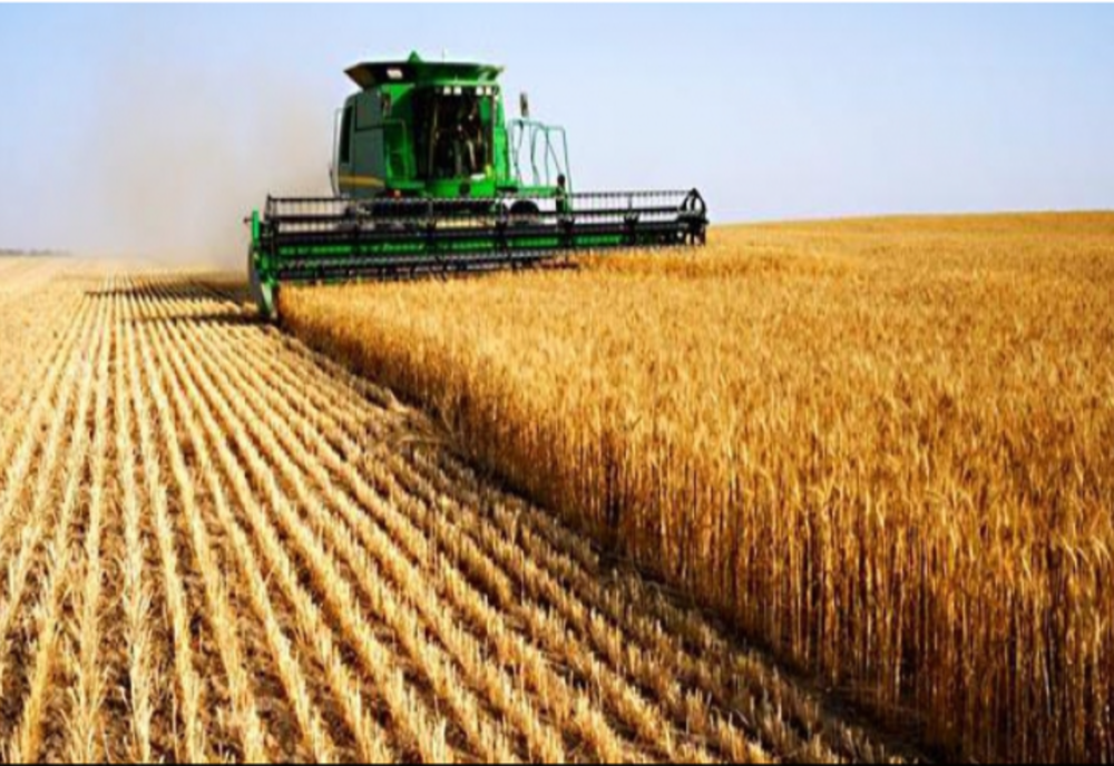 Culisele statului paralel | Fermierii, în pericol din cauza noii legi privind vânzarea terenurilor agricole